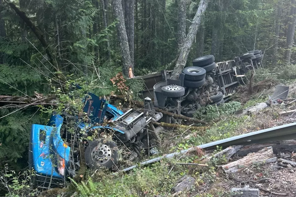 Diesel and Garbage Spilled in a US-101 Ditch After Truck Driver Fell Asleep