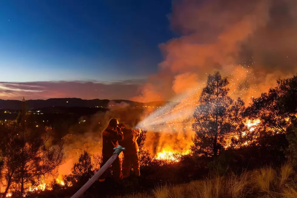 Olympia's Jungle Homeless Encampment is on Fire Again