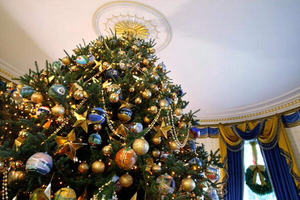 Bah Humbug! Christmas Tree Tax Coming From Feds