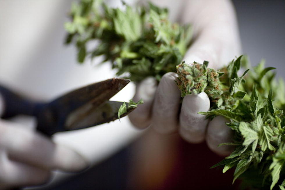 WA Lawmakers Ask DEA To Reclassify Marijuana