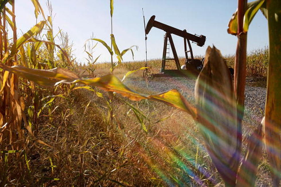 Oil Companies Fined For Not Using Biofuel That Doesn’t Exist