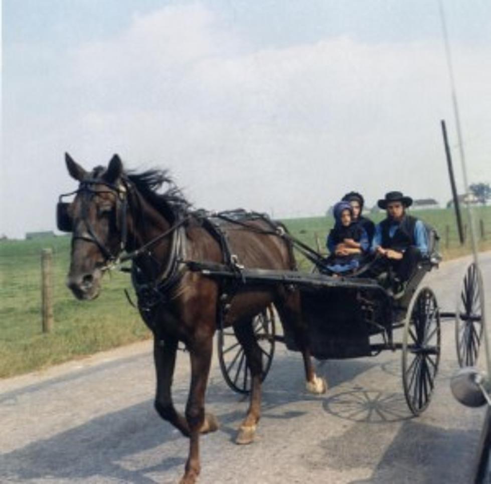 Drunken Amish Buggy Driver Hits Police Car