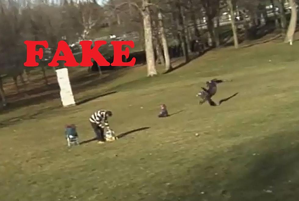 ‘Golden Eagle Snatches Kid’ Video Is Fake – Watch the Breakdown