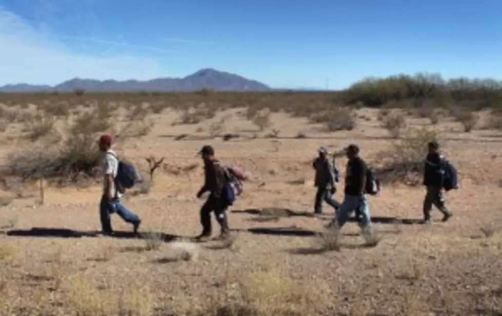 Secret Federal Report Admits Amnesty Programs Increase Illegal Immigration