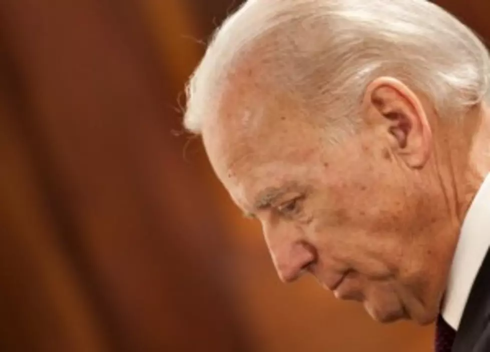 VP Biden Slams, Mocks NRA &#8211; Gun Owners   [VIDEO]