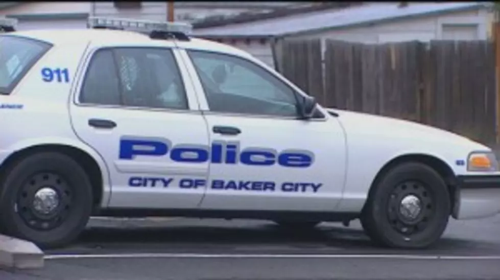 Pit Bull Kills Baker City Child
