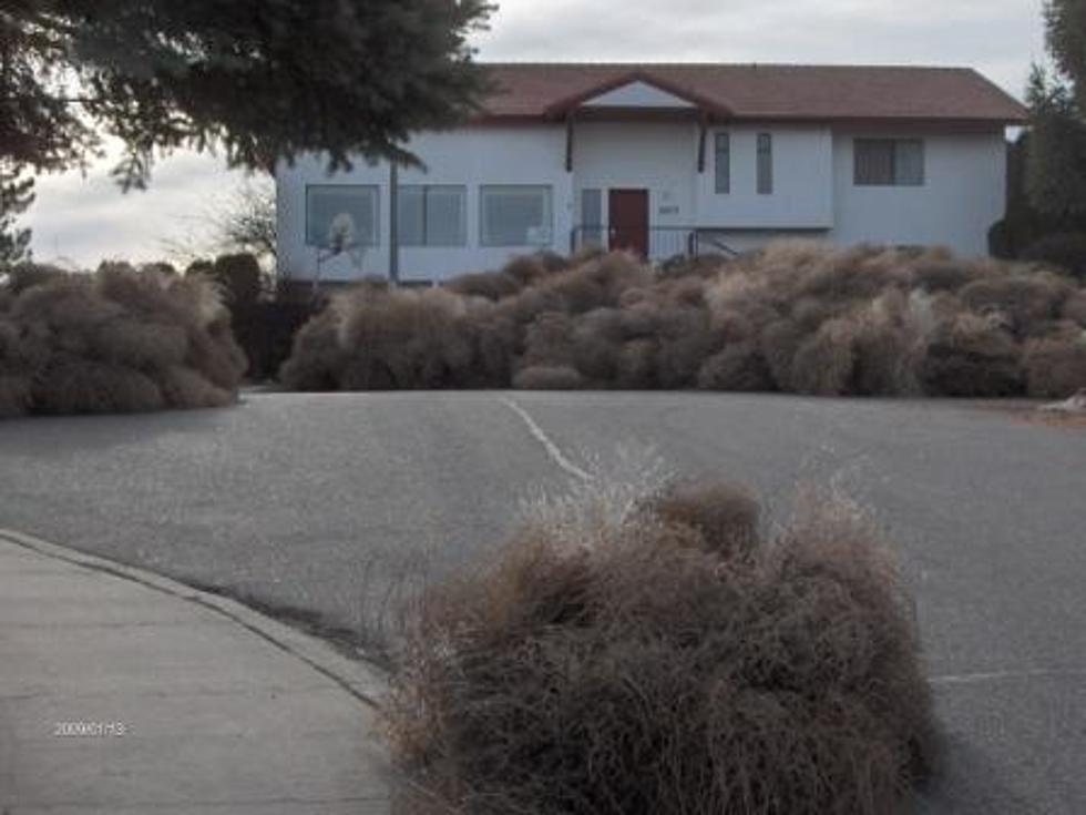 Mandatory Tumbleweed Recycling coming June 1st, to Benton-Franklin Counties