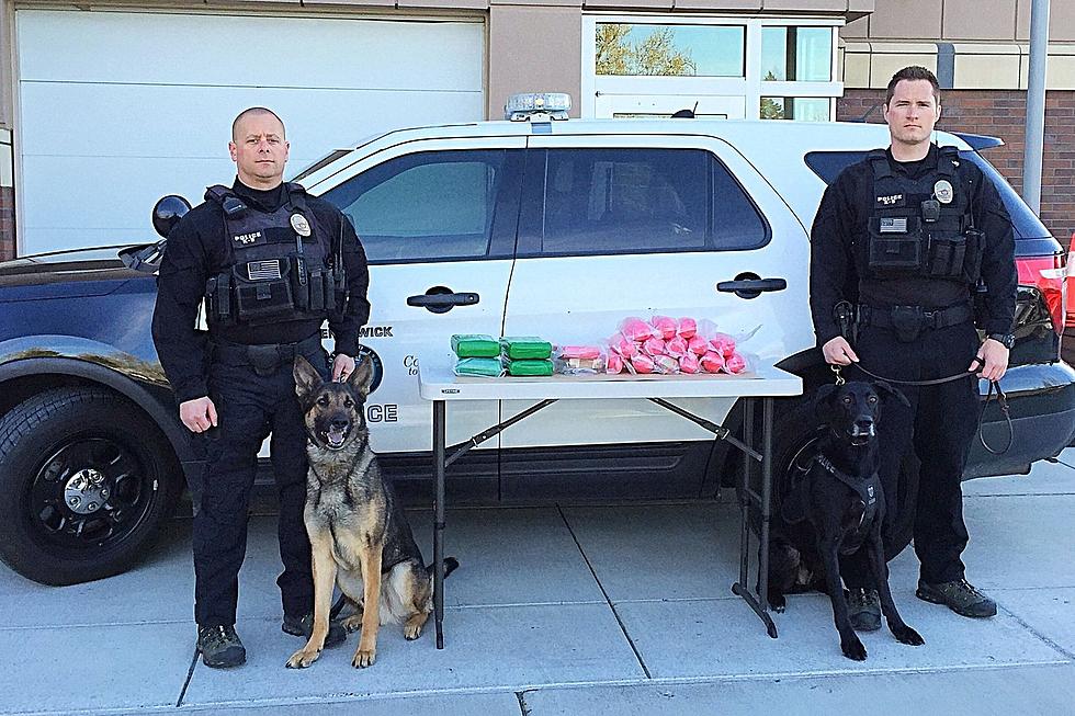 Kennewick K-9, Drug Unit Nets 25 Pounds of Drugs in Bust