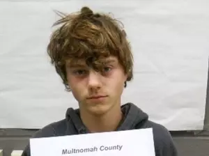 Judge Says Kennewick Teen Competent to Be Tried For Kidnapping Great Grandmother