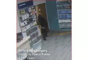 Watch Stunning Burglary Video From Pasco Break-In! [VIDEO]