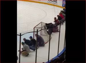 Weiner Dogs &#8216;Iced&#8217; At Tri-City Americans Game [VIDEO]