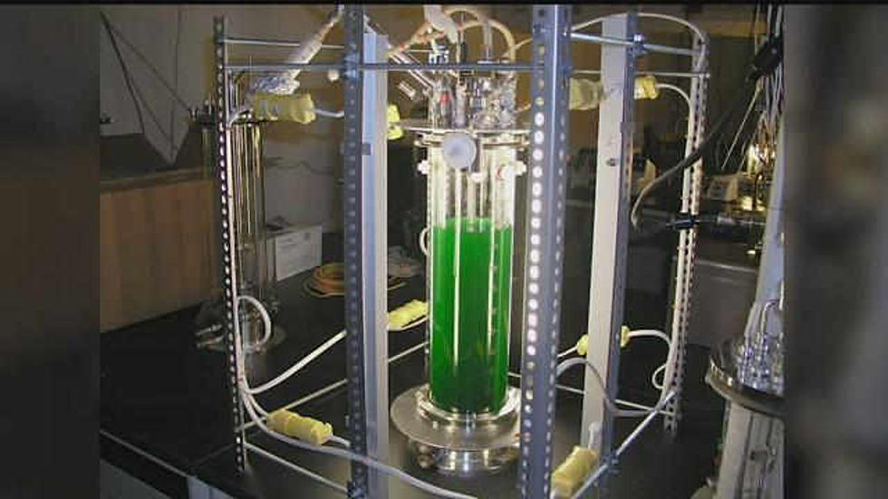 From Poo to Green Goo Scientists at PNNL on a Mission to Create Fuel