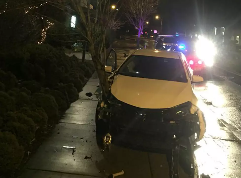 Drunk Driver &#8216;Splits&#8217; Trees with Car in Crash, Tree Embedded in Vehicle