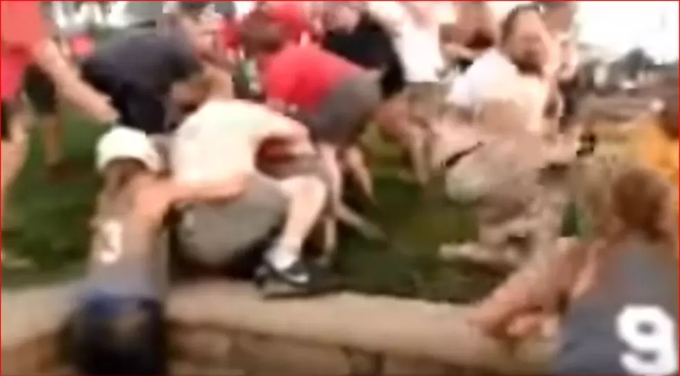 ‘Parents Of the Year’, Fans Brawl at Girls Softball Game [VIDEO]