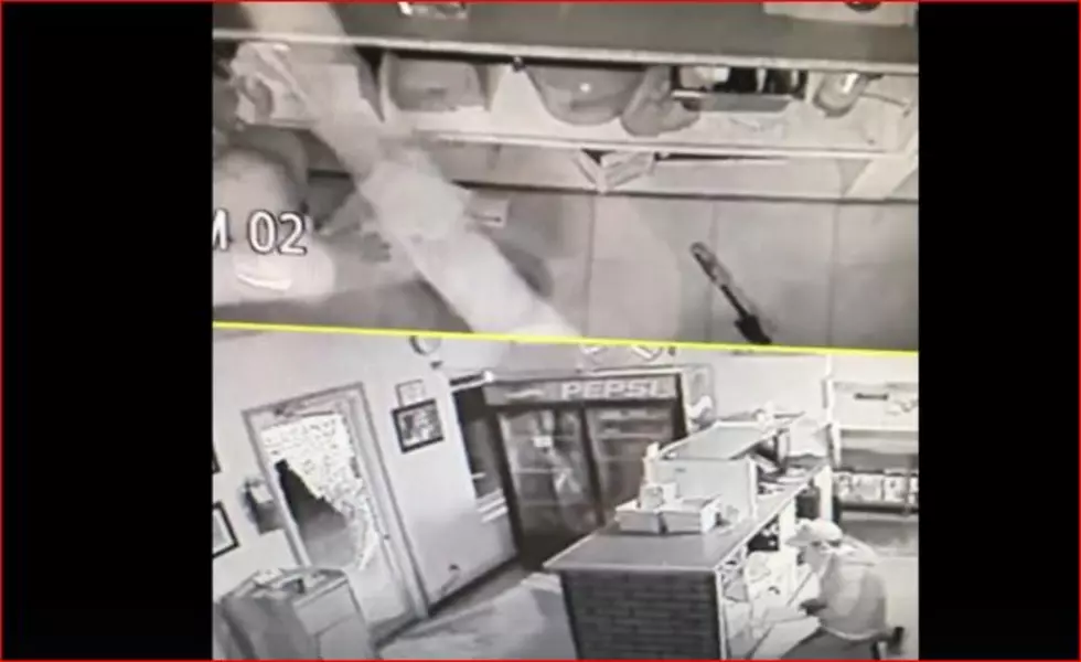 Police Searching for Pizza Shop Burglar [VIDEO]