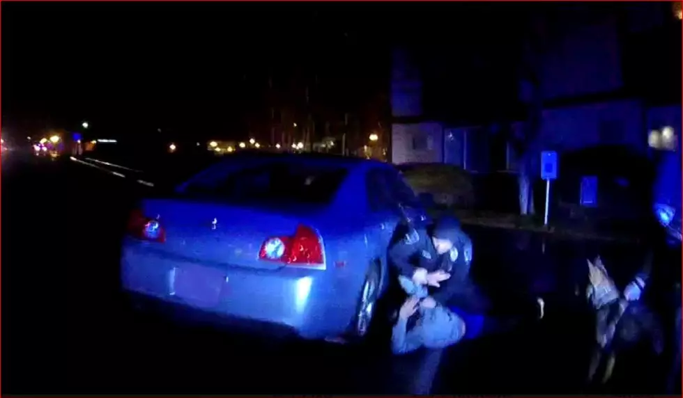 Takedown! Moses Lake Police Dog Helps Drop Suspect