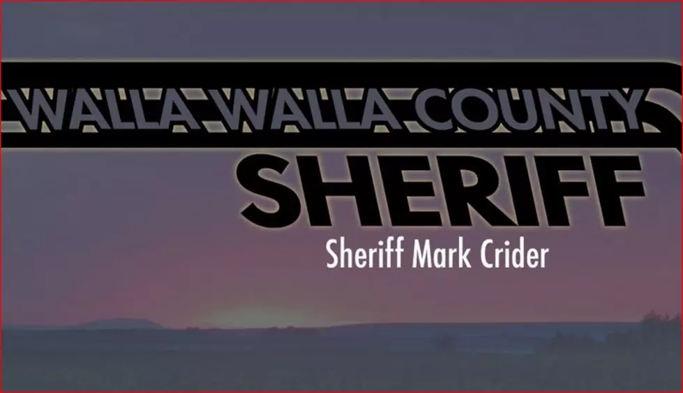 Statement on 1639 by Walla Walla County Sheriff Ambiguous
