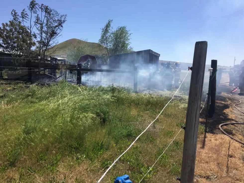 Many Chickens, Ducks, and a  Dog Perish in Coop Fire Caused by Faulty Cord