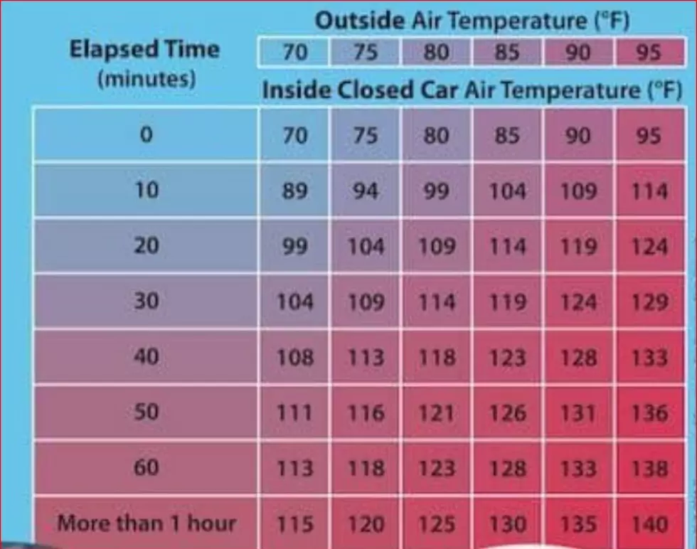 See How Hot Your Vehicle Gets with Pets Left Inside in Spring, Summer
