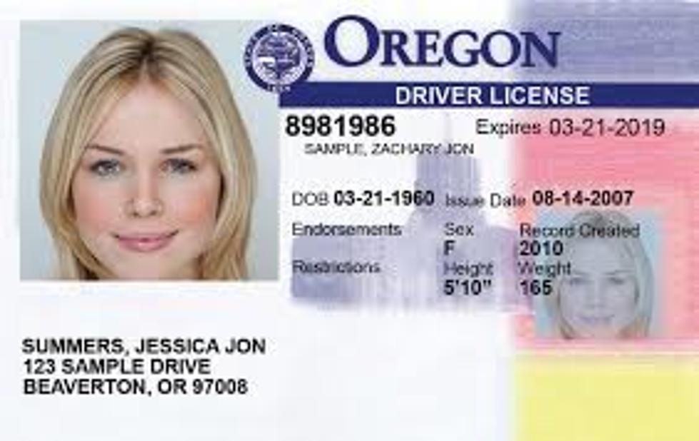Oregon Bypasses Voters in Granting Driver’s Licenses to Illegals