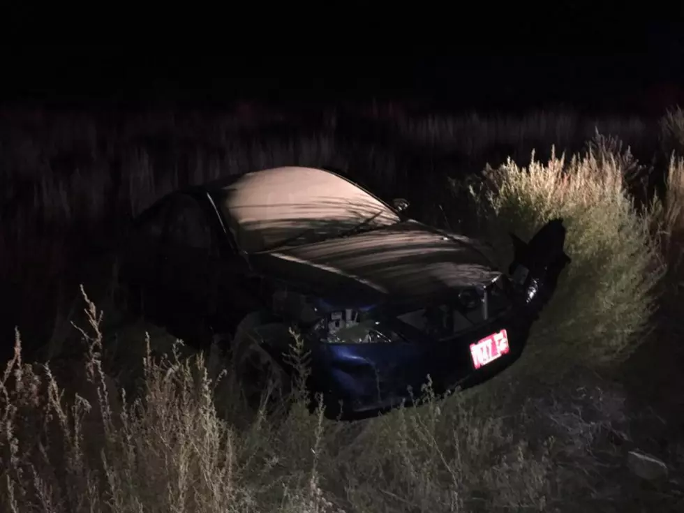 Driver Escapes Injury in Coyote Dodging Rollover