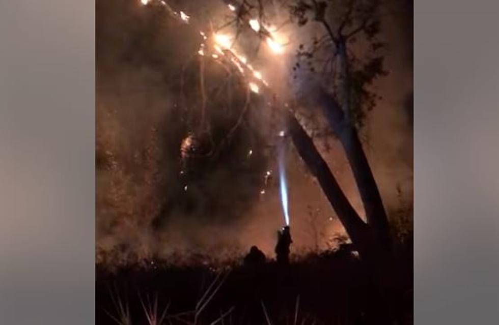 Fire Crews Battle Zintel Canyon Blaze&#8211;Arson? [VIDEO]