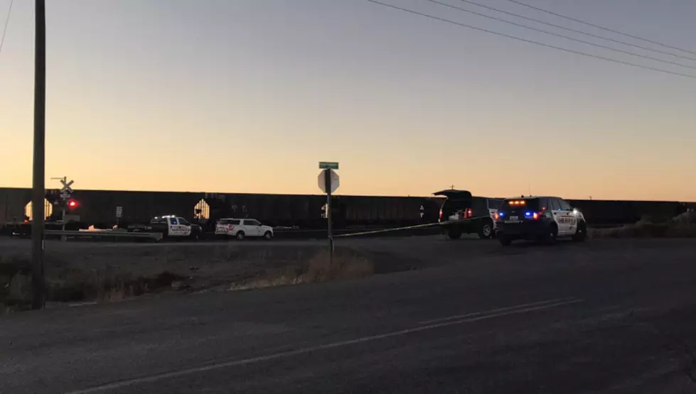 Man Struck by Train Was on Tracks on Purpose