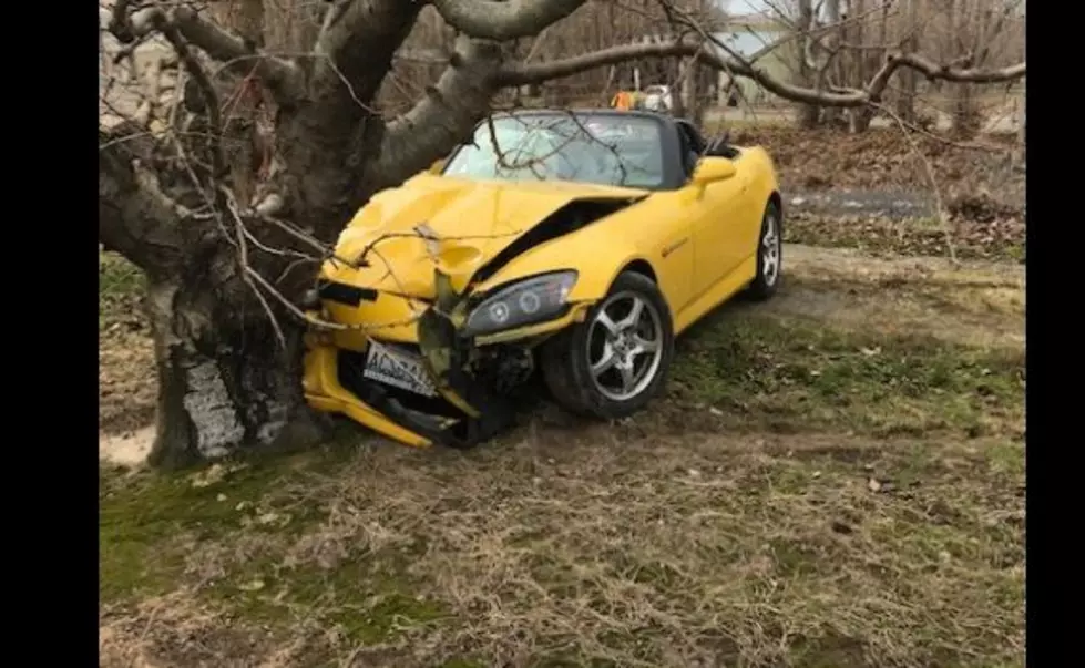 “Angry Orchard” Tree 1, Sports Car-Drunk Driver, -0-