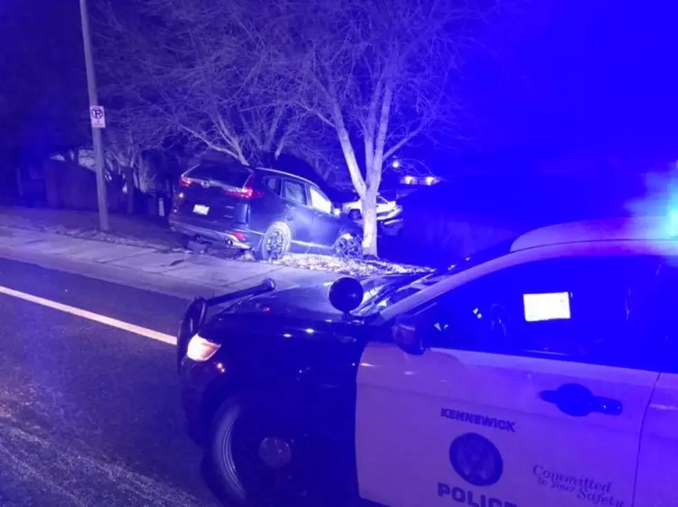 DUI Driver Loses Bout with Tree, Flees, Arrested
