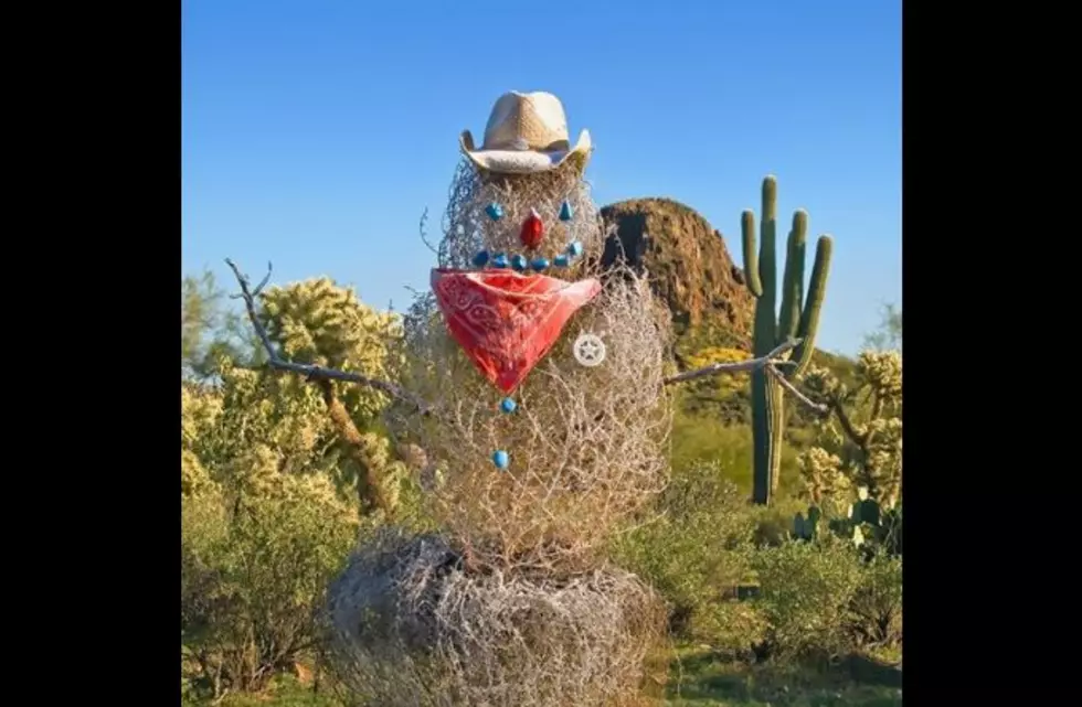 Officer ‘Weed’ Standing Guard–Tumbleweed Art