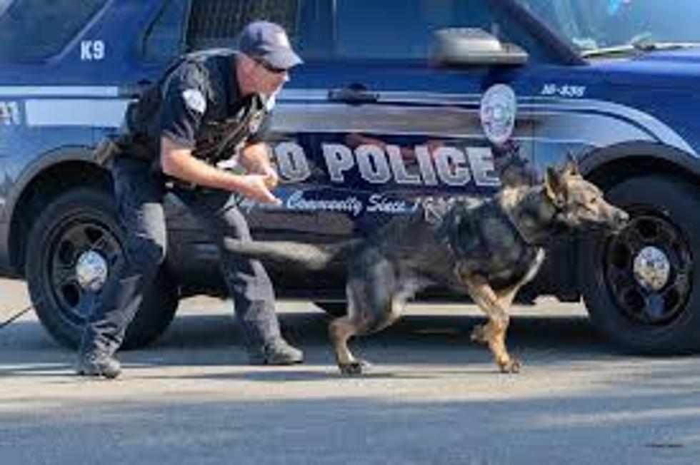 Pasco Police Mourn Sudden Death of K-9 Hapo