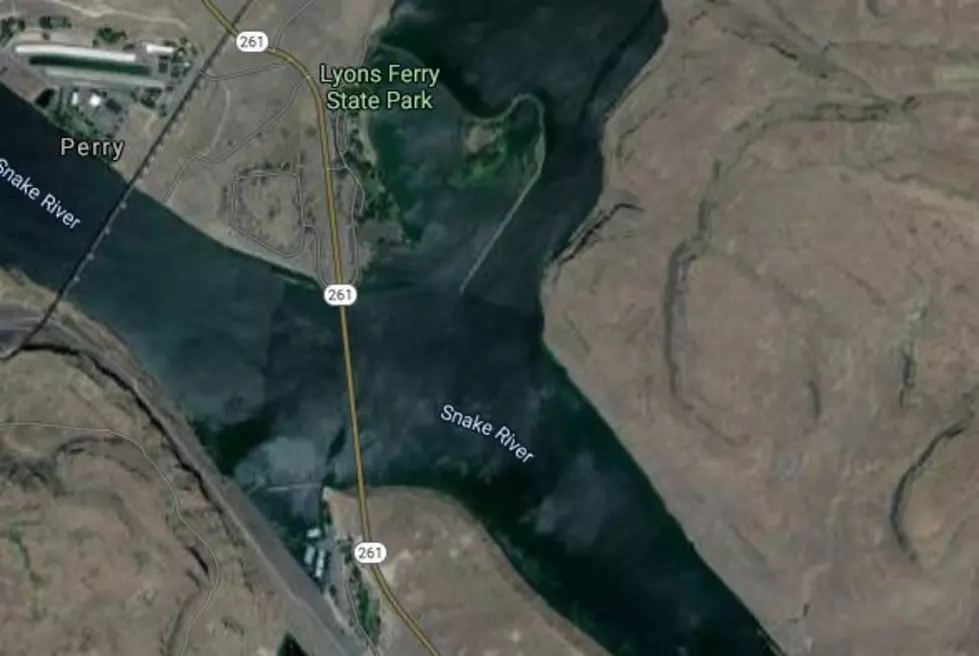 Palouse-Snake River Drowning Victim Identified