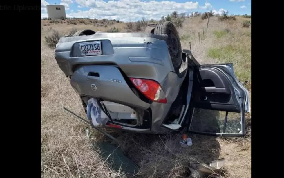 Cranky Cat Causes Crash on Highway 395&#8211;Did It Survive?