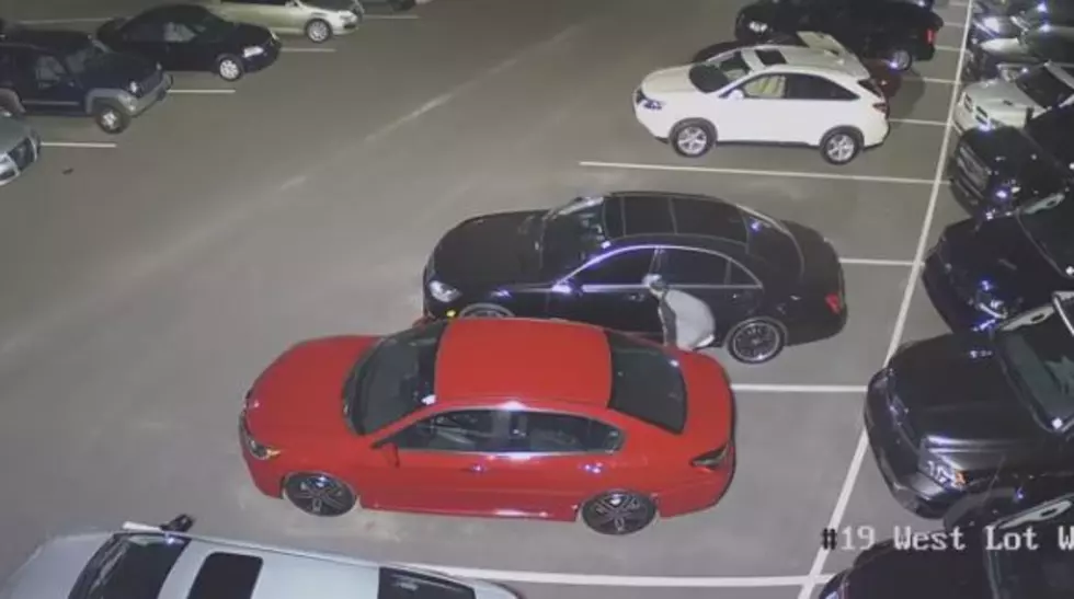 Reward Offered for Info on Auction Lot Car Prowler [VIDEO]
