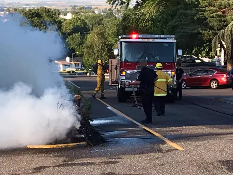 Errant Late Firework Sparks Median Shrub Fire in Kennewick