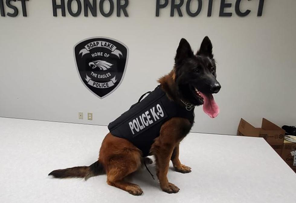 Soap Lake Reserve K-9 Officer Cited for DUI, Fought With FC Deputy