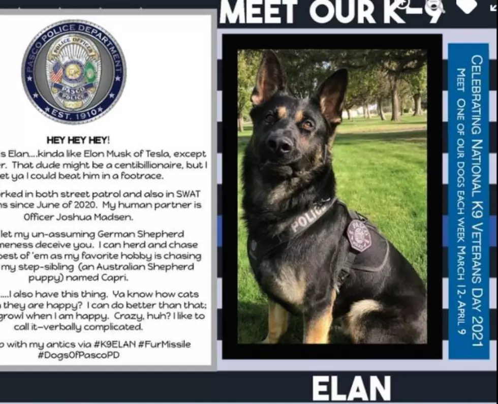 Pasco PD’s K-9 Series Continues, Meet K-9 Elan