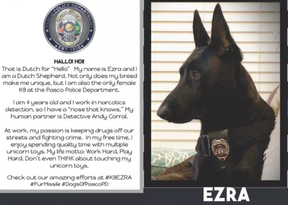 Pasco PD To Feature Their “Fur Missiles” (K-9’s) in Upcoming Series