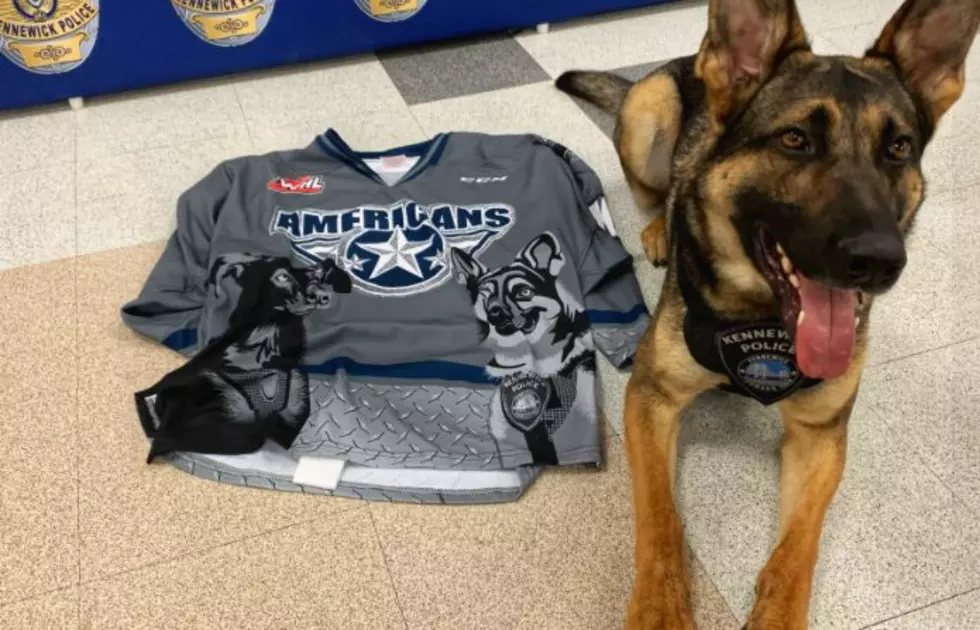 Ams K-9 Jersey Auction Launched With KPD May 4–Bid on One!