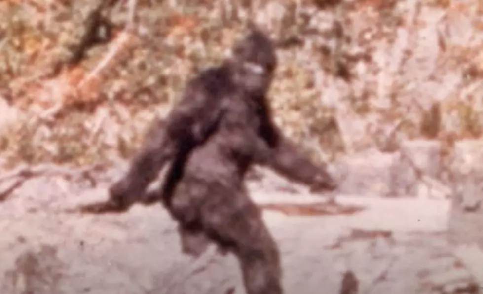Sasquatch youtube image still (YouTube)