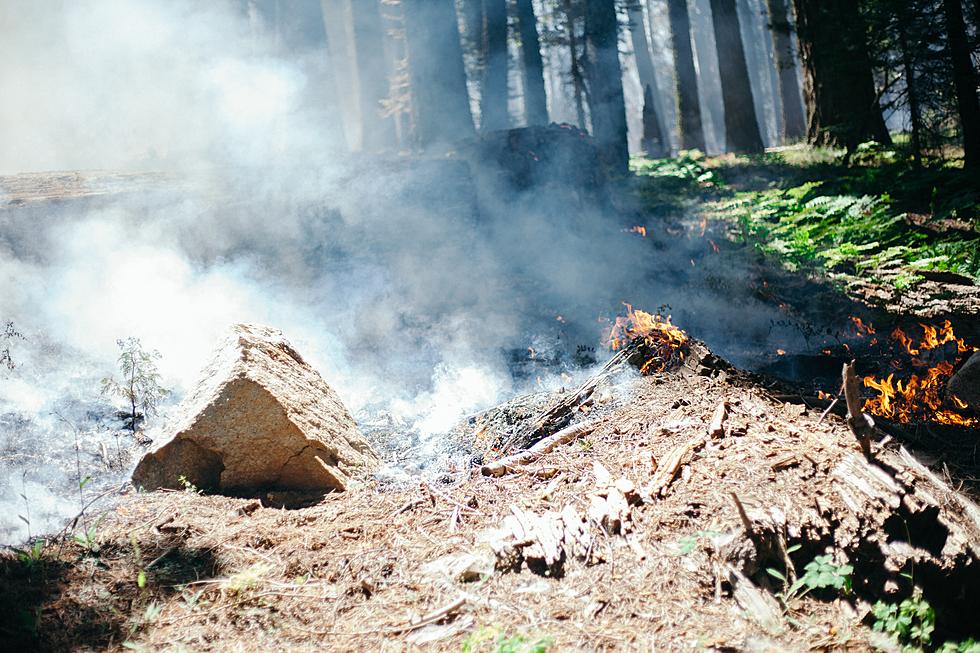 How Will Wildfires, Burn Bans Affect Your Recreating? Find Out Here