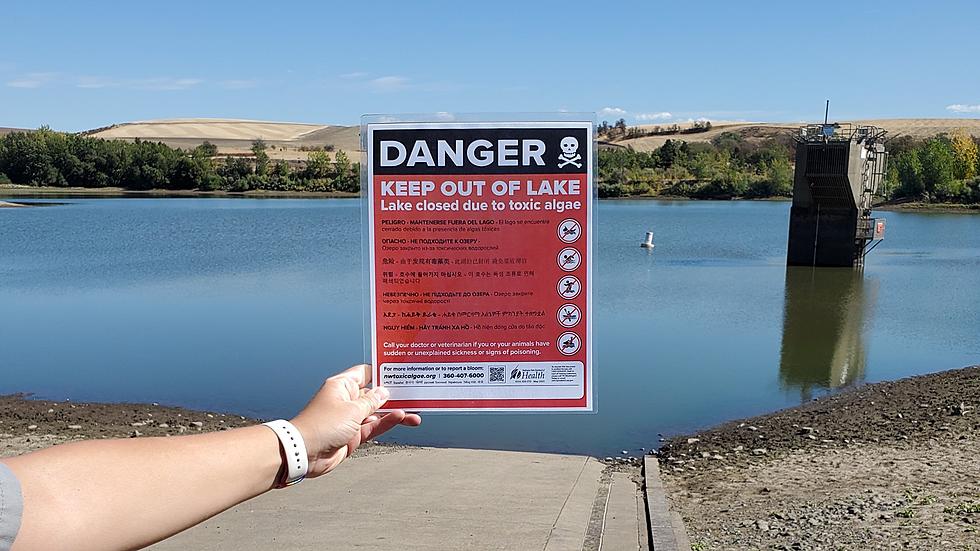 Bennington Lake in Walla Walla County Closed to Toxic Algae Blooms