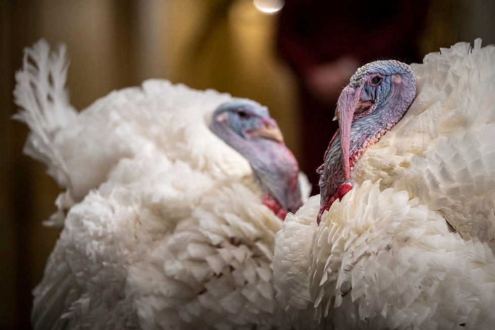 Five Weird Things We Bet You Didn’t Know About Thanksgiving