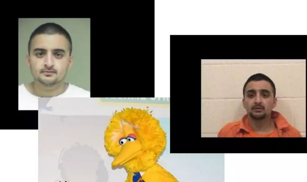 Uh Oh! Suspect Known as ‘Big Bird’ Wanted for Car Theft!