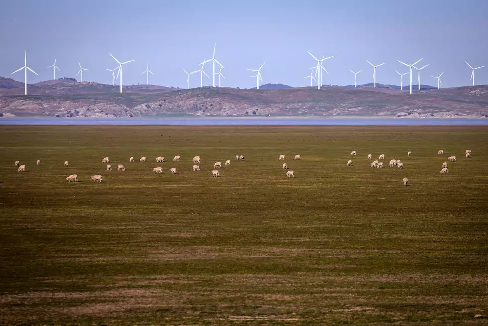 Group Launches Go-Fund-Me to Fight Horse Heaven Windmill Project