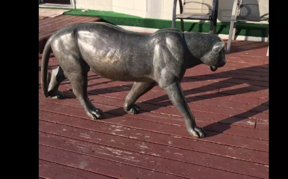 Howard Amon Park Cougar Statue Found, Did it Migrate?