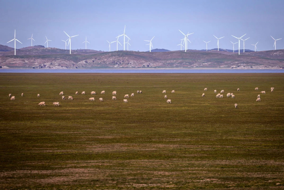 State Looking to Put More Solar, Wind Projects on Public Lands? - newstalk870.am