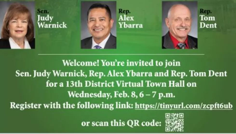 13th District Legislators Plan Virtual Town Hall Wednesday 