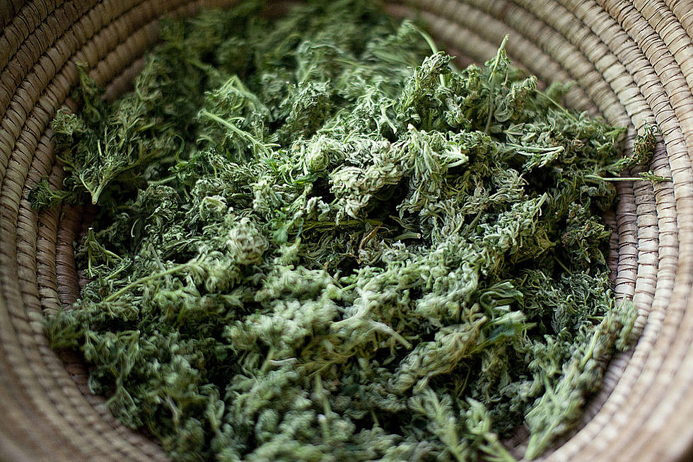 WA Legislature Bans Manufacture, Sale of Cannabis ‘Cocktails’