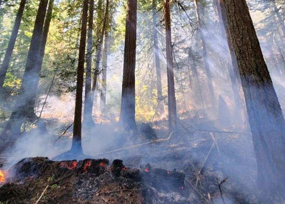 Lightning Triggers at Least 40 Fires Near Mt Rainier, Forests